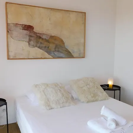 Splendid Domaine De Puistons Air-conditioned Parking Villa Vallauris